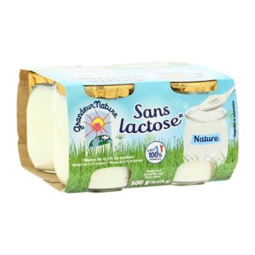 Yaourt Nature Sans Lactose 4x125g Bio