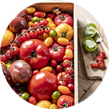 fête de la tomate fête de la tomate